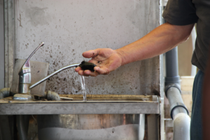 Man checking coagulation or flocculation to monitor polymer dosage