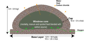 A cross-view of a compost windrow for animal mortality showing width and height dimensions